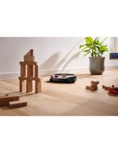 Scout RX3       Home Vision 2