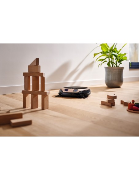 Scout RX3       Home Vision