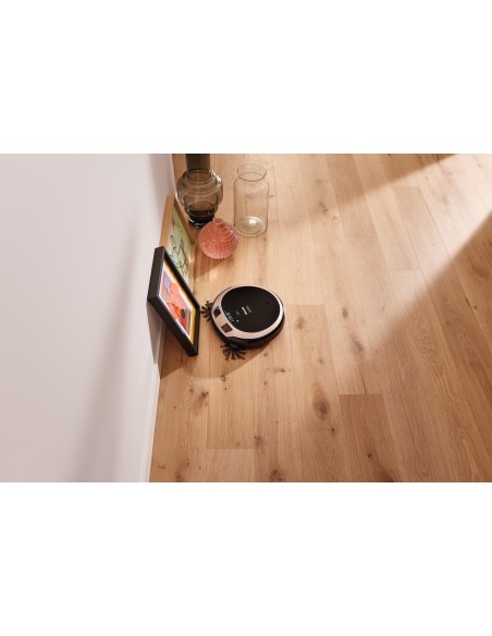 Scout RX3       Home Vision